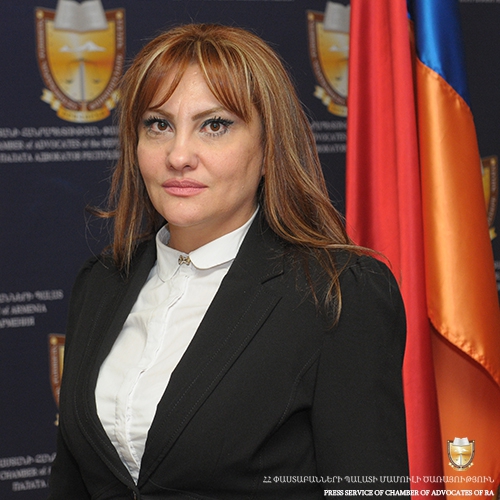 THE PARTICIPATION OF ADVOCATE LIANA BALYAN IN THE PROGRAM HAD A GREAT INFLUENCE THE PARTICIPATION OF ADVOCATE LIANA BALYAN IN THE PROGRAM HAD A GREAT INFLUENCE