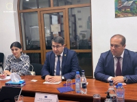 CHAIRMAN SIMON BABAYAN HAD A MEETING WITH THE HEAD OF EU DELEGATION ANDREA WIKTORIN